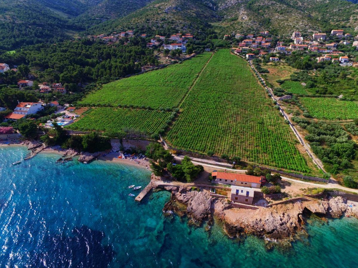 Villa Anabela Zavala Ngoại thất bức ảnh